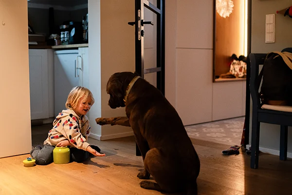Lena-Heinemann-Familienfotos-Stuttgart-Mannheim-Wuerzburg-11 Lena Heinemann Familienfotos in Stuttgart, Mannheim und Würzburg, Bild zeigt Jungen, der mit dem Familienhund auf dem Boden spielt
