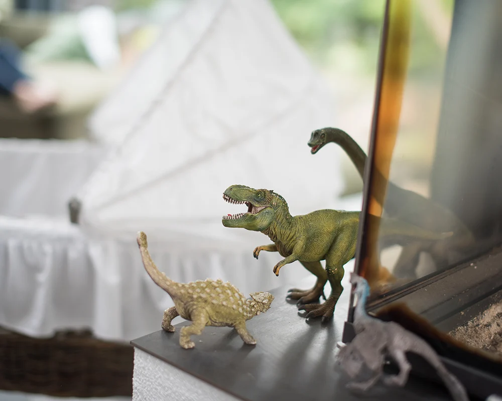 Lena-Heinemann-Familienfotos-Stuttgart-Mannheim-Wuerzburg-18 Lena Heinemann Familienfotos in Stuttgart, Mannheim und Würzburg, Bild zeigt Dino-Sammlung der Kids